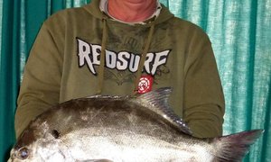 Rietfonteins Finest Galjoen